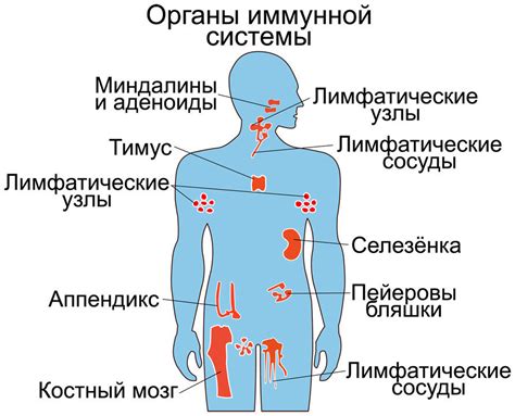 Автоиммунные заболевания и гипертермия