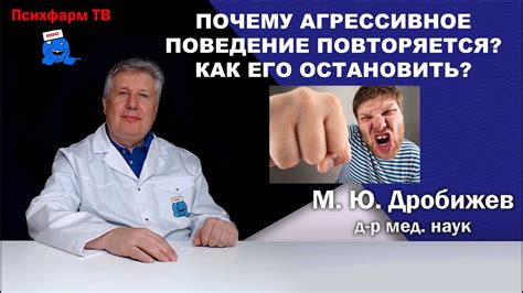 Агрессивное поведение: почему оно только ухудшает ситуацию?