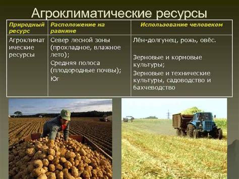 Агроклиматические особенности ведущих регионов