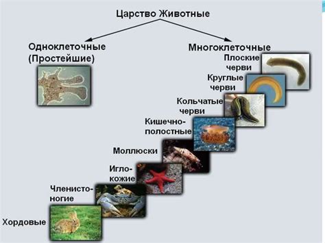 Адаптация живой клетки к суровым условиям безысходности