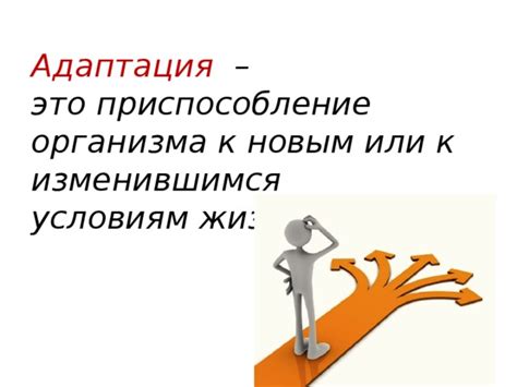 Адаптация организма: приспособление к изменяющемуся ритму жизни