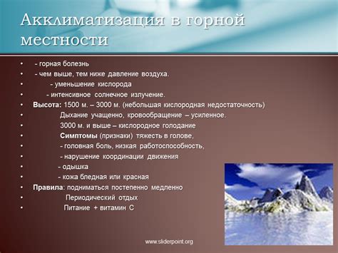 Адаптация особей, способных передвигаться задним ходом, к условиям горной местности Урала