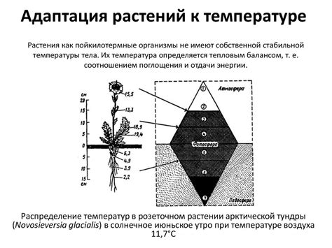 Адаптация отмостки к переменной температуре