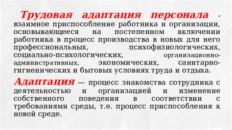 Аклиматизация в новой среде: значимость роли перевёденного сотрудника