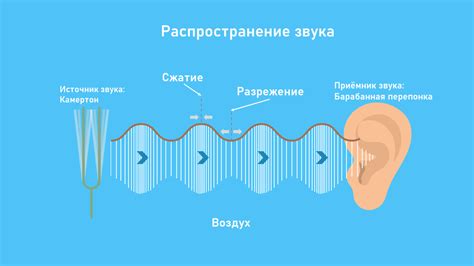 Акустические свойства звуковой волны