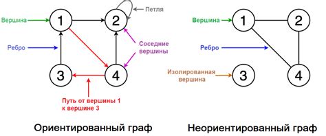 Алгоритмы поиска циклов в графе: принципы и стратегии