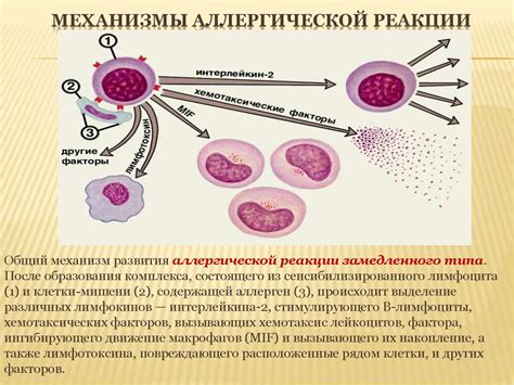 Аллергические реакции при воздействии шерсти, пыли и цветовых пигментов