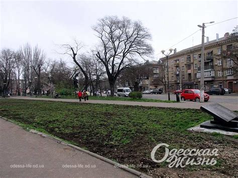 Аллея Мира в сквере Пионеров