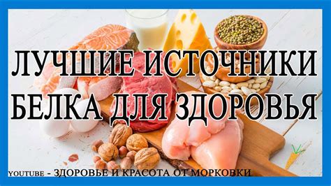 Альтернативные источники белка для предотвращения гистаминоза