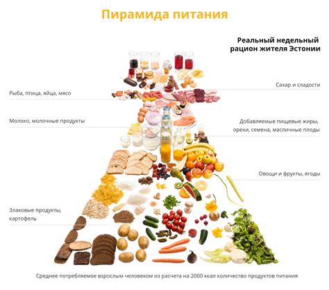 Альтернативные и более полезные питательные рационы для разнообразия рациона домашних птиц