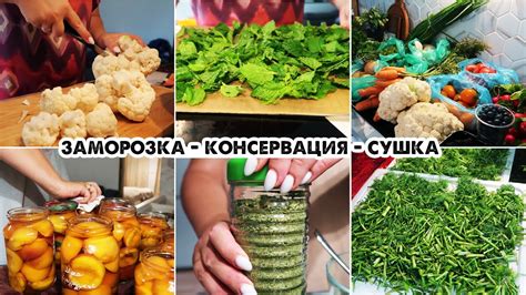 Альтернативные методы: замораживание и сушка овощей