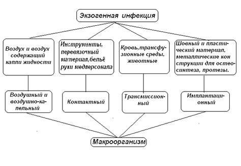 Альтернативные пути распространения цифровых предметов: персональные сделки и сообщества