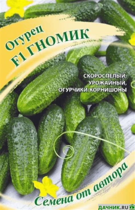 Альтернативные способы придания огурцам привлекательного вкуса