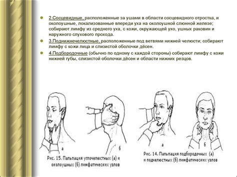 Альтернативные способы удаления лимфатических узлов: иная практика и эффективность