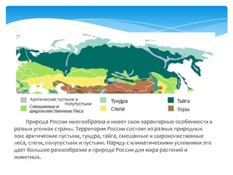 Анализ наличия чурок в разных уголках страны: особенности и распределение