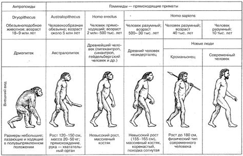 Анализ основных героев и их эволюция