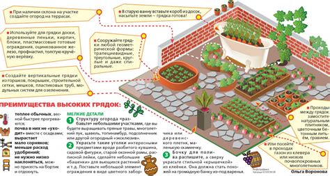 Анализ пространства и планирование расположения растений