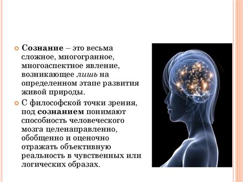 Анализ символической сущности маленького пса в скрытых образах сознания