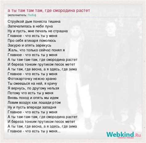 Анализ текста песни "Любэ – а ты там, где смородина"