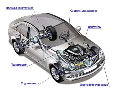 Анатомия автомобиля: разделение по сторонам