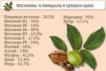 Антиоксиданты в грецких орехах: защита организма от вирусов и инфекций