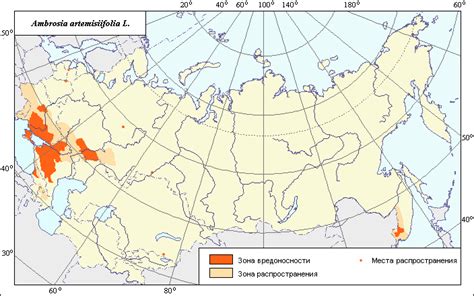 Ареал амброзии и полыни: ключевые территории в России и мире