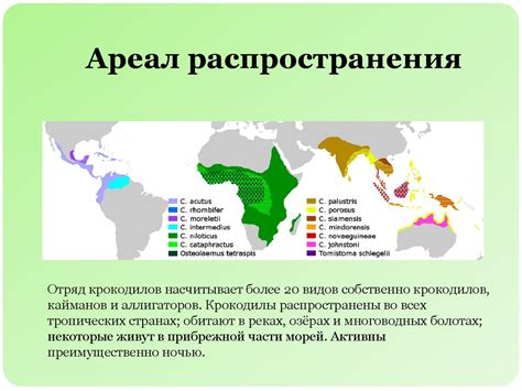 Ареал распространения лемуров в Африке: особенности географического распределения