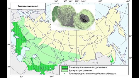 Ареал распространения эму в земном шаре