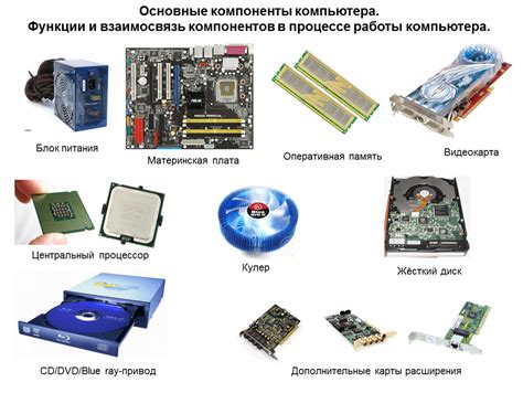 Архитектура процессора: основные компоненты