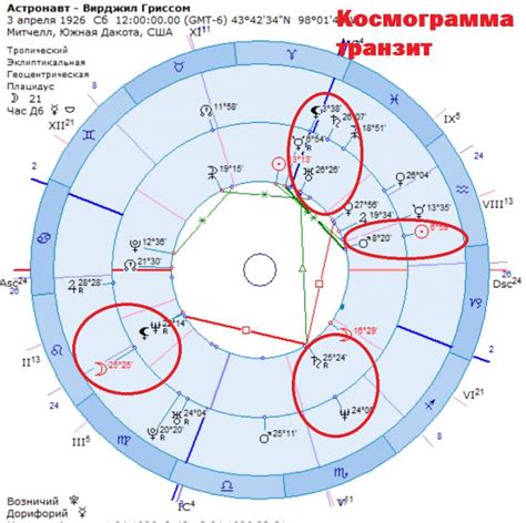 Астрологическая сущность Солнца в гороскопе: главные смыслы