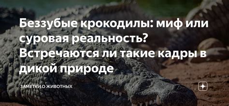 Багровые кадры трейлера: миф или реальность атаки на бедных животных?