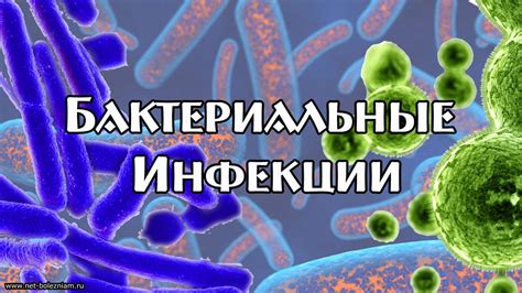 Бактериальные инфекции: опасность скрытого проклятия
