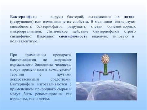 Бактериофаги и их значимость в предотвращении бактериальных инфекций