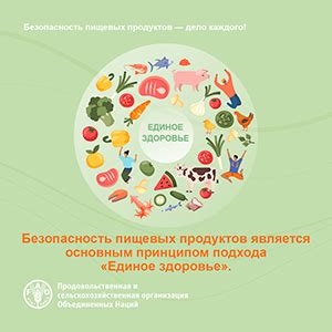 Безопасность пищевых продуктов: почему освобождение от загрязнений - неотъемлемая часть процесса приготовления кабачков