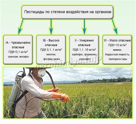 Безопасность применения пестицидов в сельском хозяйстве