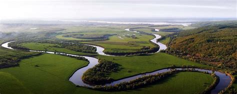 Береговые участки рек и водоемов: природный своеобразный оазис для охотника