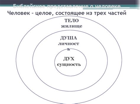 Библейское представление о раю и его местонахождении