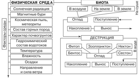 Биологические особенности и важность пираньи в составе речной экосистемы