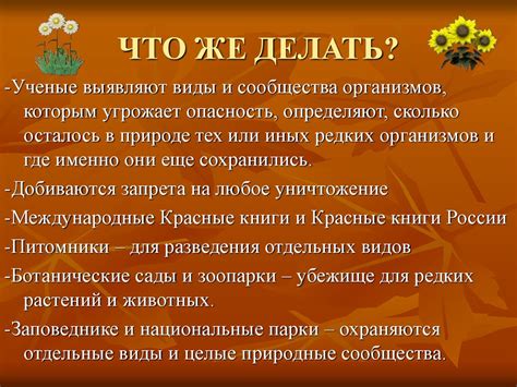 Биологическое богатство речного пути Белой: важность сохранения и охраны