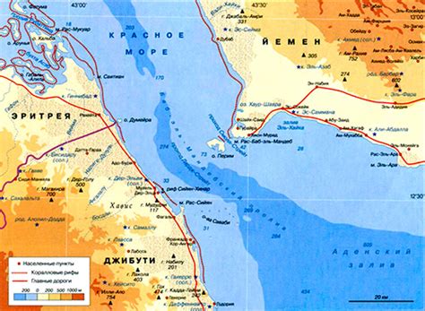 Биологическое разнообразие Баб эль-Мандебского залива: морская жизнь и растительность