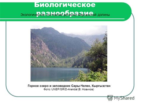 Биологическое разнообразие горного складчатого региона