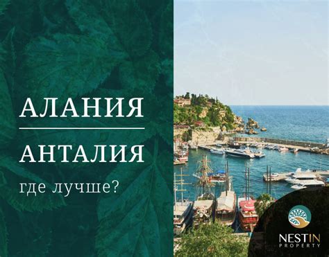 Благоприятный климат для отдыха в ноябре: Анталия или Алания?