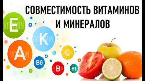 Благотворное воздействие витаминов и минералов, содержащихся в квасе