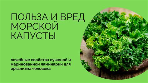 Благотворные свойства соленой капусты для организма: факты и исследования