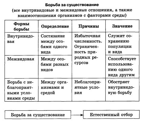 Богатство видов и его взаимосвязь с преобразованиями в эволюционных механизмах