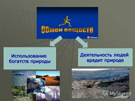 Богатство видов пресняковых старшей в природе Медведково