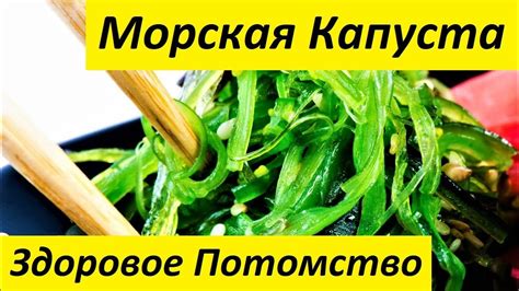 Богатство морской капусты микроэлементами и антиоксидантами