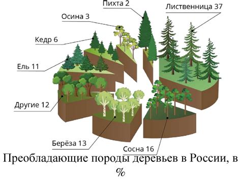 Богатство разнообразия растительного и животного мира в горных и у водных источниковых районах