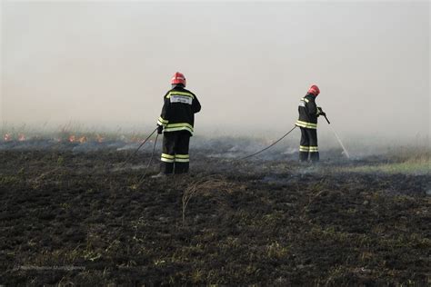 Богатые водоемы для рыбалки на маринуху в заповедниках и национальных парках