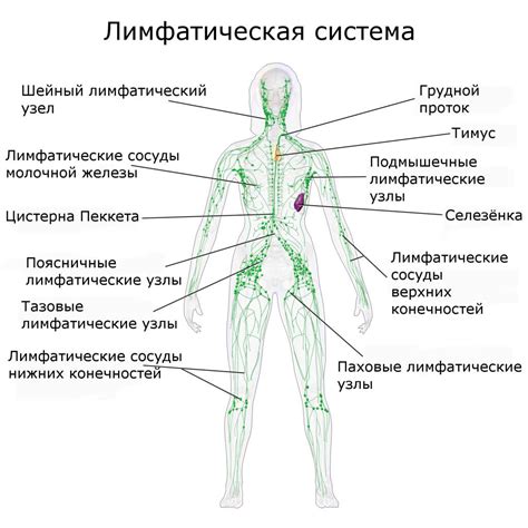 Болезни, приводящие к необходимости удаления лимфатических узлов